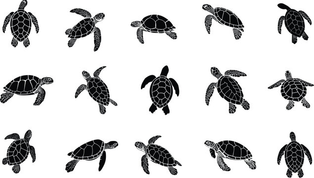 Set of Turtle Silhouette Collections
