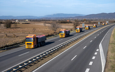 Eight orange trucks in a column for the transport of heavy raw materials are driving on the...
