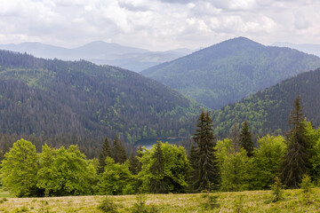 Mountain valley with lake and forested slopes in Carpathian Mountains