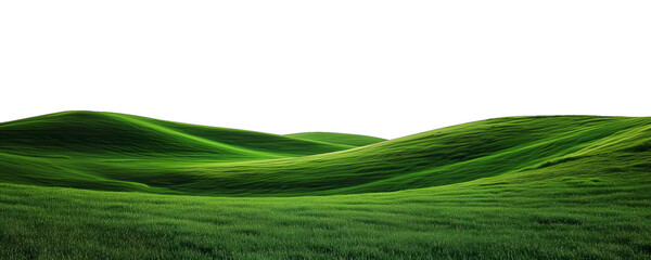 Panorama of green landscape is on white background