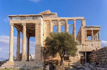 Ancient Erechtheion or Erechtheum temple in Acropolis of Athens. facade with olive tree at foreground. Athens, Greece