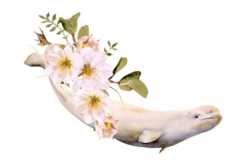 Hand-drawn watercolor beluga whale illustration isolated. White whale with white flowers....