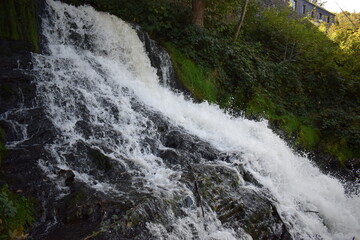 Fototapeta premium waterfall Cascade de Coo in Belgium during autumn