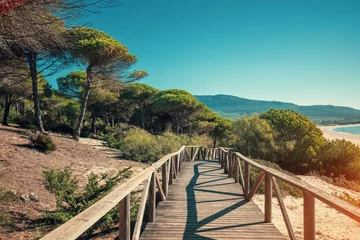 Photo sur Plexiglas Plage de Bolonia, Tarifa, Espagne Wooden walkway along the sea and pine trees in the natural park to sandy Bolonia Dune  Andalusia Spain Europe