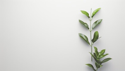 Obraz premium Minimalist background