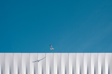 white wall and blue sky