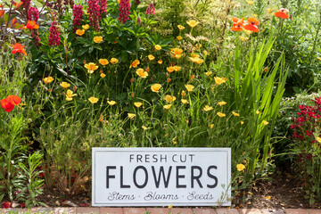 Garden flowers with fresh cut flower sign 0747