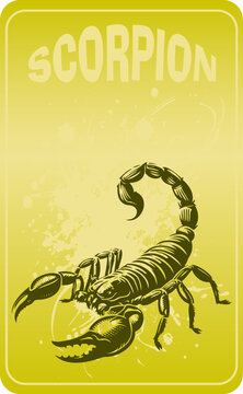 Stylized scorpion in vector format, presented as a stencil illustration on an appealing background