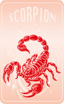 Scorpion vector artwork with stylized stencil design against an attractive backdrop