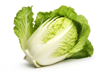 Chinese cabbage 3D close up cutout minimal isolated on white background. Vivid grocery Illustration for kid, sale, package. Ultra realistic cabbage, icon, detailed. Product advertising - obrazy, fototapety, plakaty