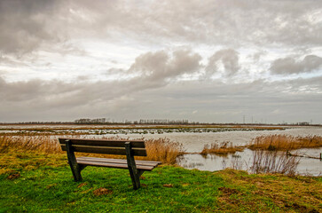Wooden bench with a view of the inundation zone in the Noordwaard region in Biesbosch national park...