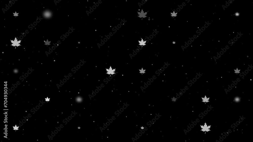 Poster Template animation of evenly spaced maple leafs of different sizes and opacity. Animation of transparency and size. Seamless looped 4k animation on black background with stars