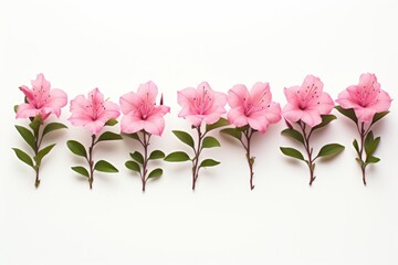  a row of pink flowers sitting on top of a white table next to a green leafy plant on top of a white surface.
