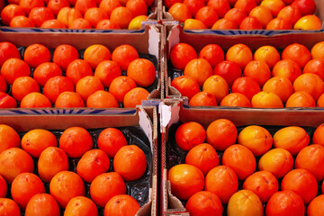 Many fresh persimmons in containers at wholesale market