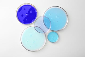 Petri dishes with different liquid samples on white background, top view