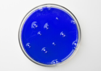 Petri dish with color liquid sample on white background, top view