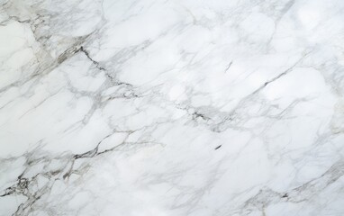 Elegant Carrara Marble texture.