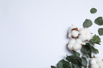 Fluffy cotton flowers and eucalyptus leaves on white background, flat lay. Space for text