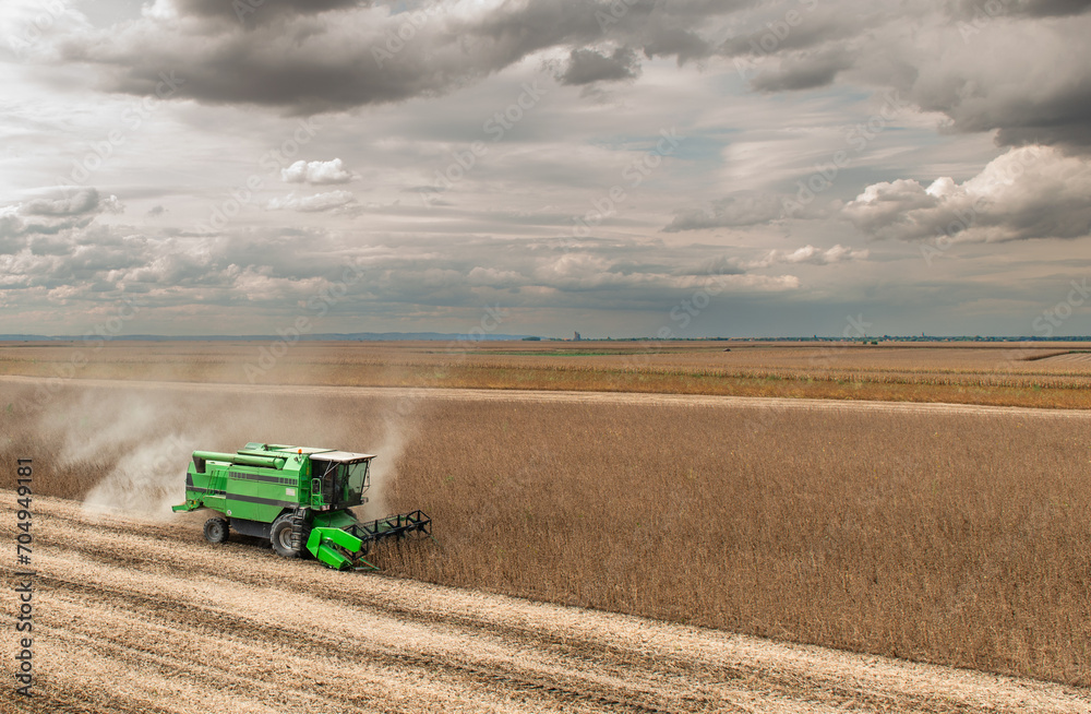 Poster Harvesting of soybean field with combine.