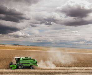 Naklejka premium Harvesting of soybean field with combine.