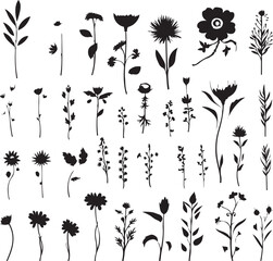 hand drawn set of beautiful flowers 