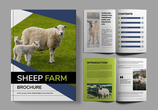 Sheep Farm Brochure