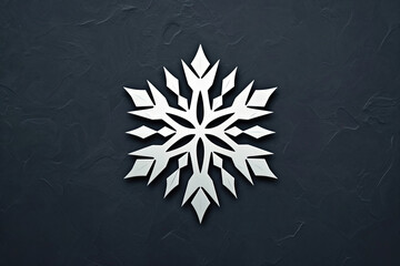 Beautiful and stylish snowflake logo. - obrazy, fototapety, plakaty