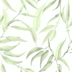 Eucalyptus leaves.Seamless pattern. Watercolor botanical illustration. - 704961701
