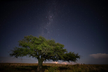 Pampas landscape photographed at night with a starry sky, La Pampa province, Patagonia , Argentina.