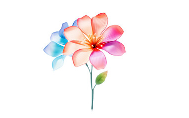 Vibrant Plastic Flower isolated on transparent Background
