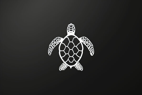 Beautiful and stylish turtle logo.