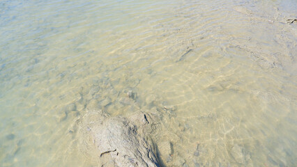 Clear Sea Water With Mud Deposits On A Sunny Day