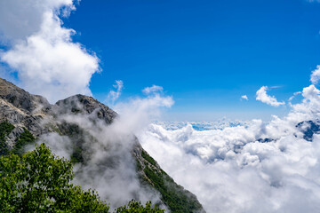 甲斐駒ヶ岳の雲海