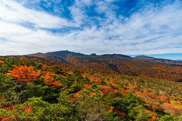 安達太良山の紅葉