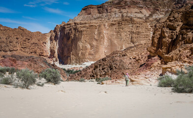 Bedouin goes to a village in the desert amid high rocky mountains in Egypt Dahab South Sinai