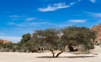 dwelling bedouin in an oasis in the desert among the mountains in Egypt Dahab South Sinai
