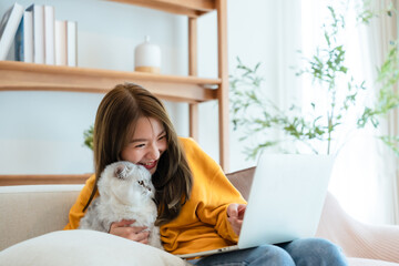 Young asian woman working at home, using laptop computer on couch while playing cat