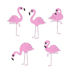 Retro pink flamingo bird vector illustration set isolated on white. Groovy tropical summer Christmas print.