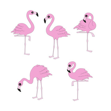 Retro pink flamingo bird vector illustration set isolated on white. Groovy tropical summer Christmas print.