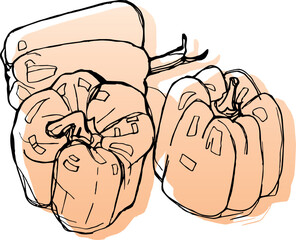 Hand drawing set of sweet bell peppers. Sketch drawing on white. Vector illustration. Line drawing of paprika.
Design element for menu, card and poster.