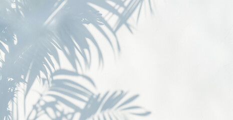 Obraz premium Abstract silhouette shadow white background of natural leaves tree branch falling on wall. blurry shadow of tropical leaves morning sun light. 