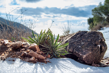 Sierra de Mijas cubierta por granizo