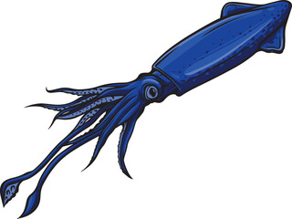 Obraz na płótnie Canvas Sea squid. Cartoon calamari animal character, aquatic fauna creature flat vector illustration