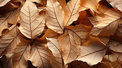 Close-up of fallen leaves browning and piling up in autumn