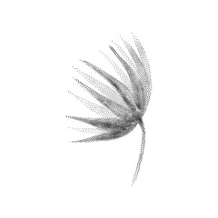 Geometric Abstract Decorative Shape Universal trendy Design Element