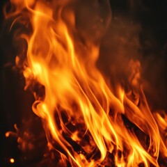 fire on a black background. abstract background with flames.