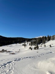 Fototapeta na wymiar back country ski slope in Colorado
