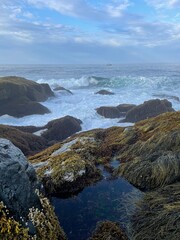 Tidepools in the early morning - Monhegan Island, Maine