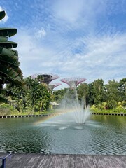 Botanical gardens in Singapore