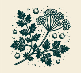 coriander leaf hand drawn vector  - obrazy, fototapety, plakaty